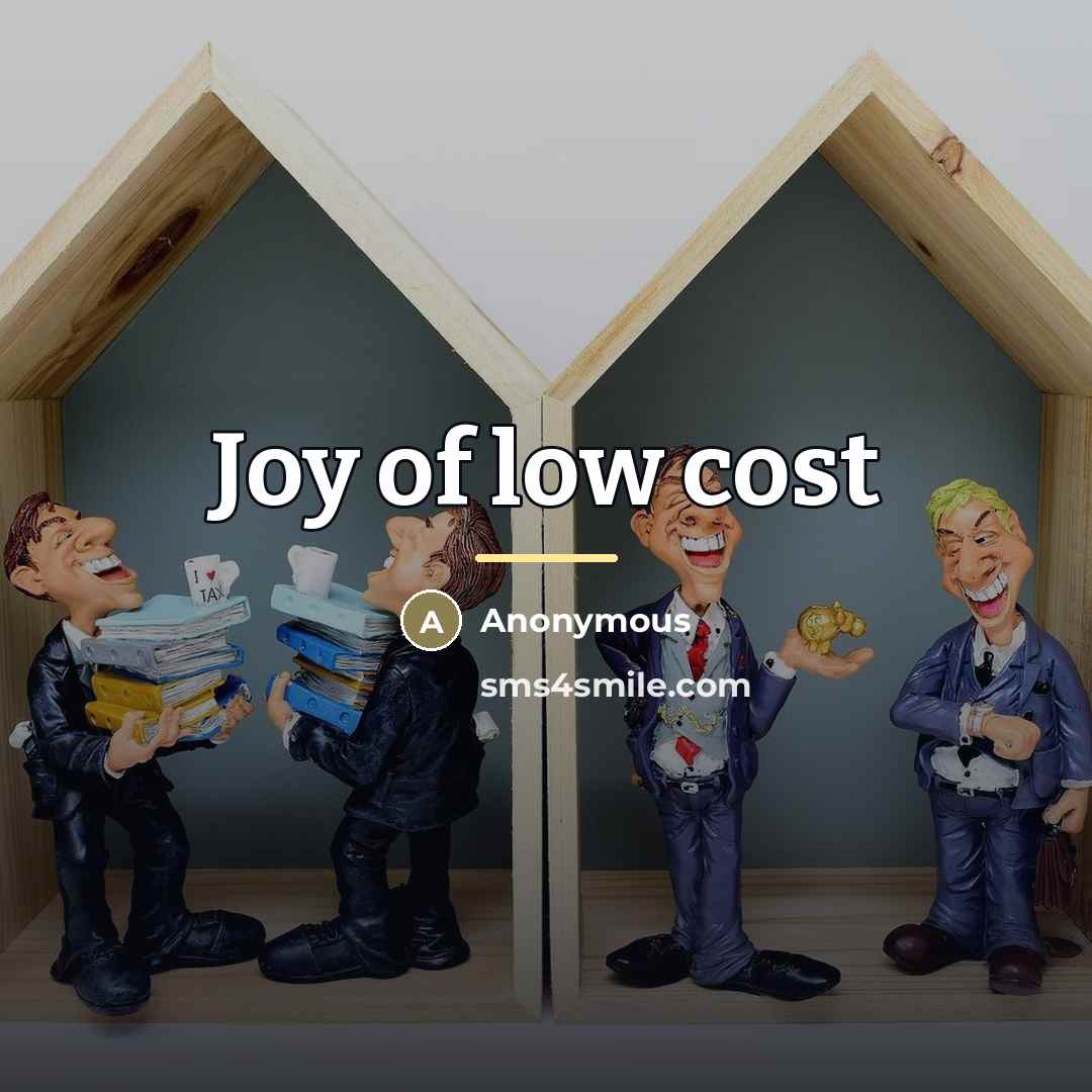 “Joy of low cost…” quote by Anonymous