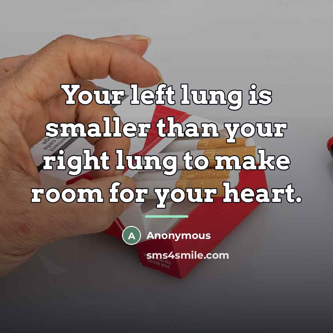 “Your left lung is smaller than your right lung to…” quote by Anonymous