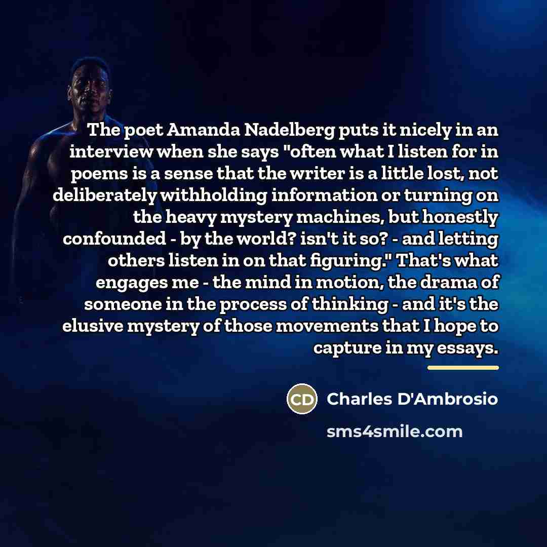“The poet Amanda Nadelberg puts it nicely in an interview…” quote by Charles D'Ambrosio