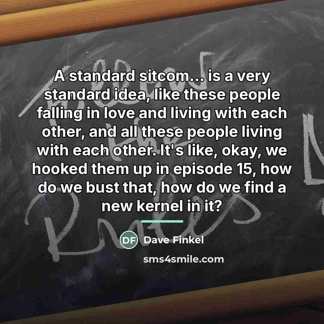 “A standard sitcom... is a very standard idea, like these…” quote by Dave Finkel