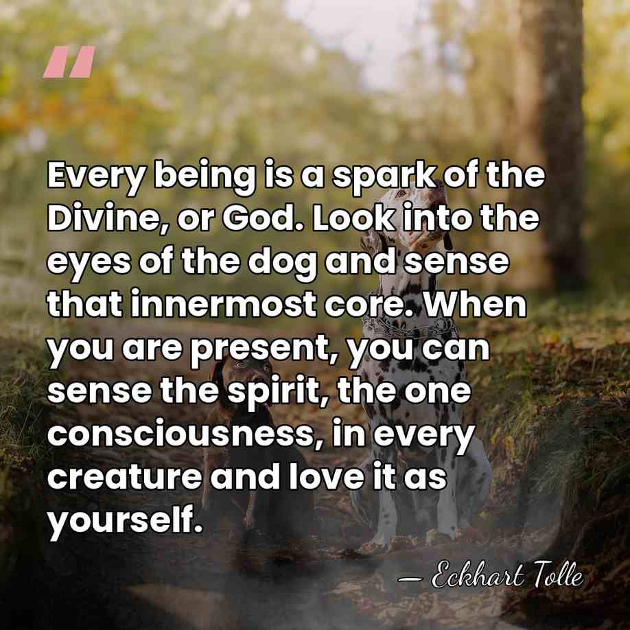 Every being is a spark of the Divine, or God. Look into&hellip; - Eckhart Tolle