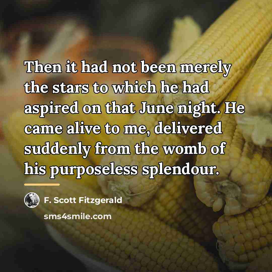 “Then it had not been merely the stars to which…” quote by F. Scott Fitzgerald