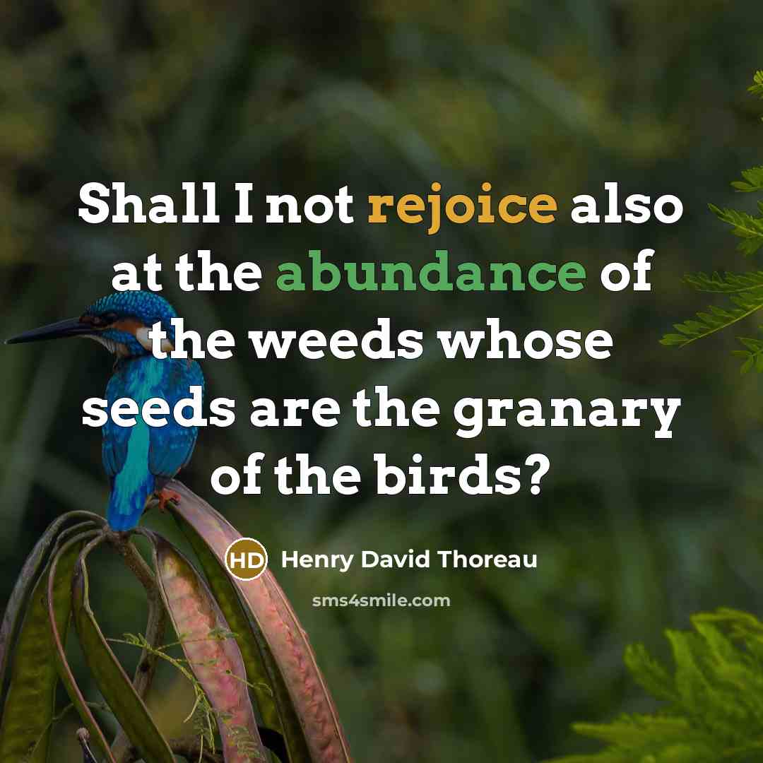 “Shall I not rejoice also at the abundance of the…” quote by Henry David Thoreau