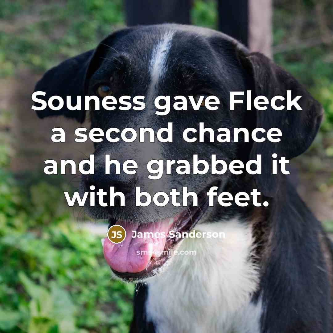 “Souness gave Fleck a second chance and he grabbed it…” quote by James Sanderson
