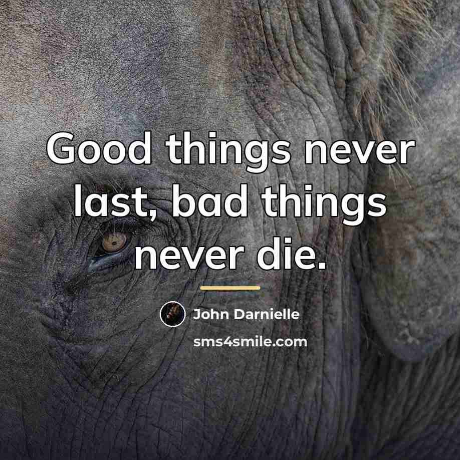 “Good things never last, bad things never die.…” quote by John Darnielle