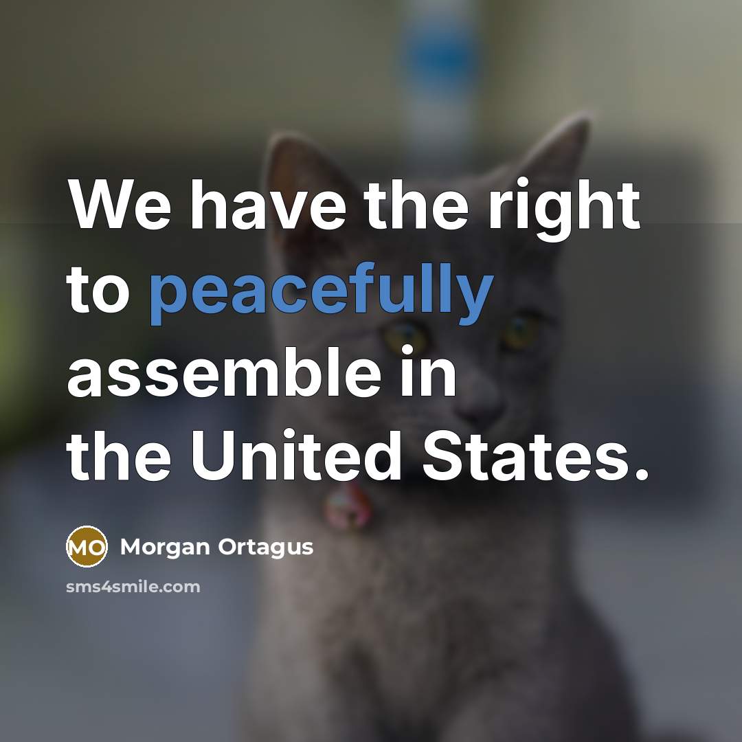“We have the right to peacefully assemble in the United States.” quote by Morgan Ortagus