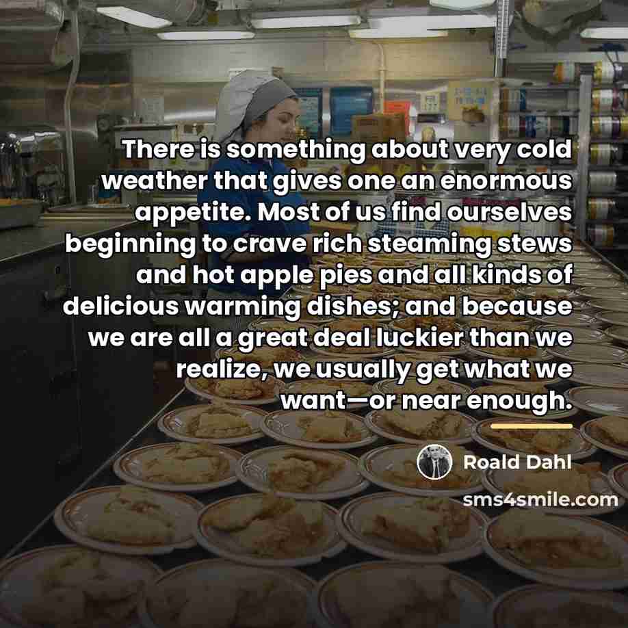 “There is something about very cold weather that gives one…” quote by Roald Dahl