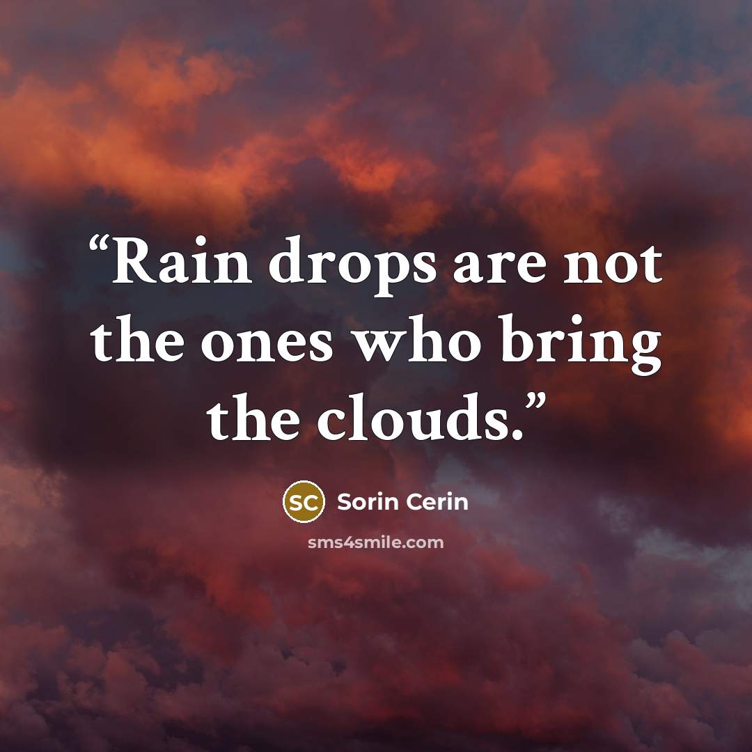 “Rain drops are not the ones who bring the clouds.” quote by Sorin Cerin