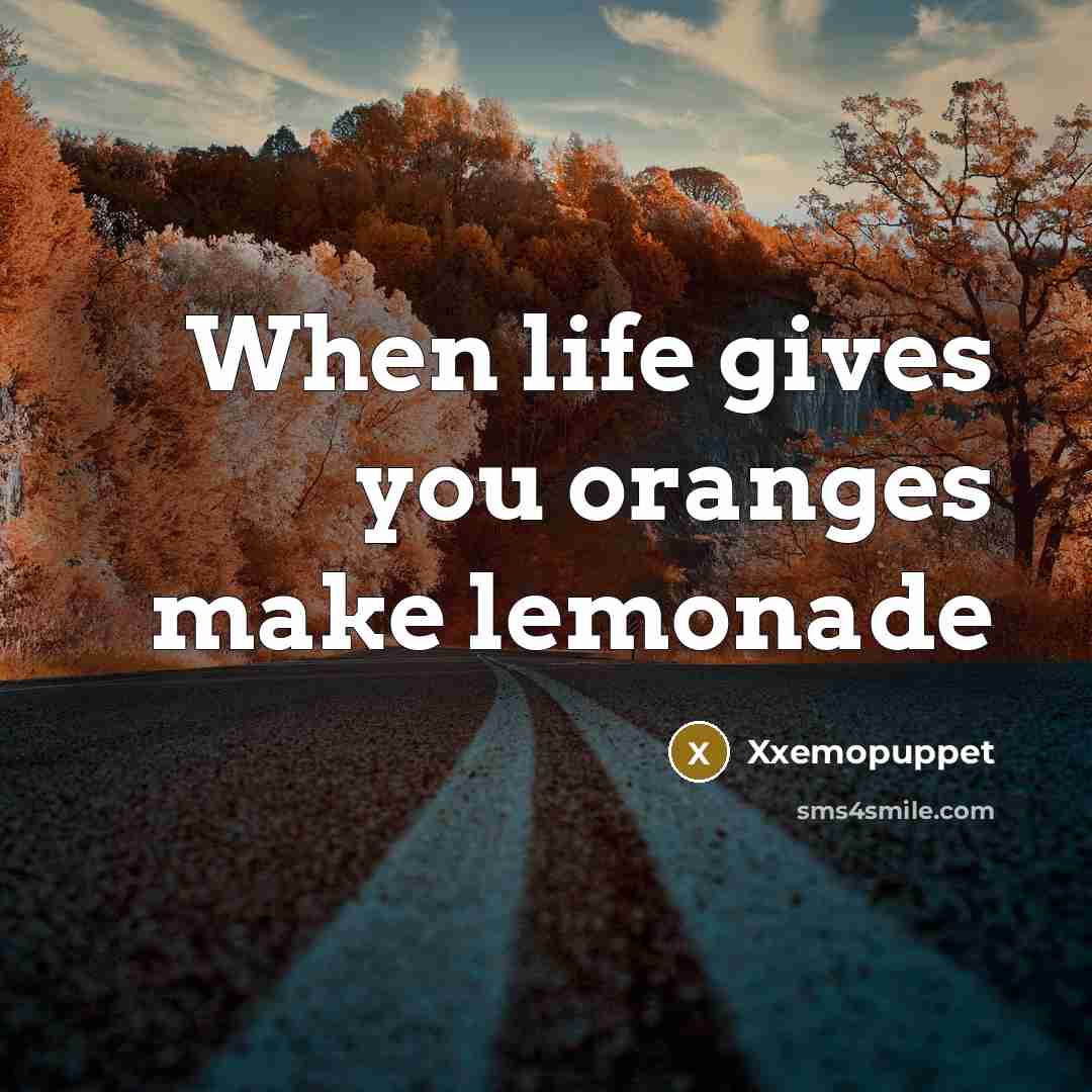“When life gives you oranges make lemonade…” quote by Xxemopuppet