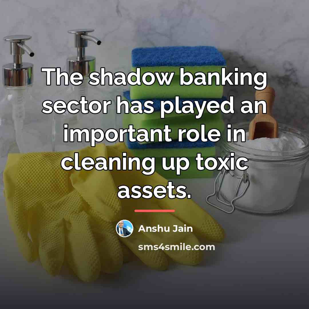 “The shadow banking sector has played an important role in…” quote by Anshu Jain