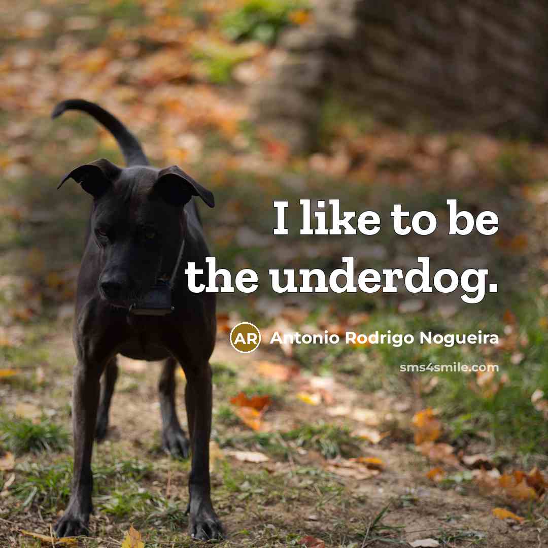 “I like to be the underdog.…” quote by Antonio Rodrigo Nogueira