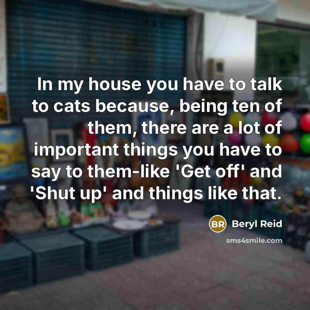 “In my house you have to talk to cats because,…” quote by Beryl Reid