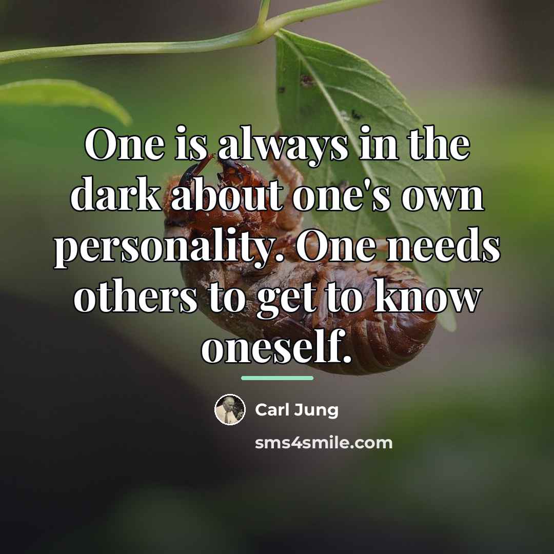 “One is always in the dark about one's own personality.…” quote by Carl Jung