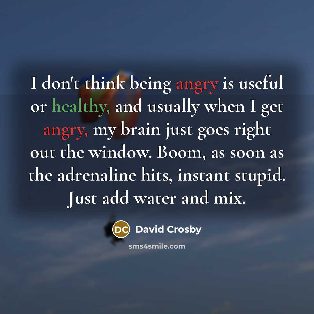 “I don't think being angry is useful or healthy, and…” quote by David Crosby
