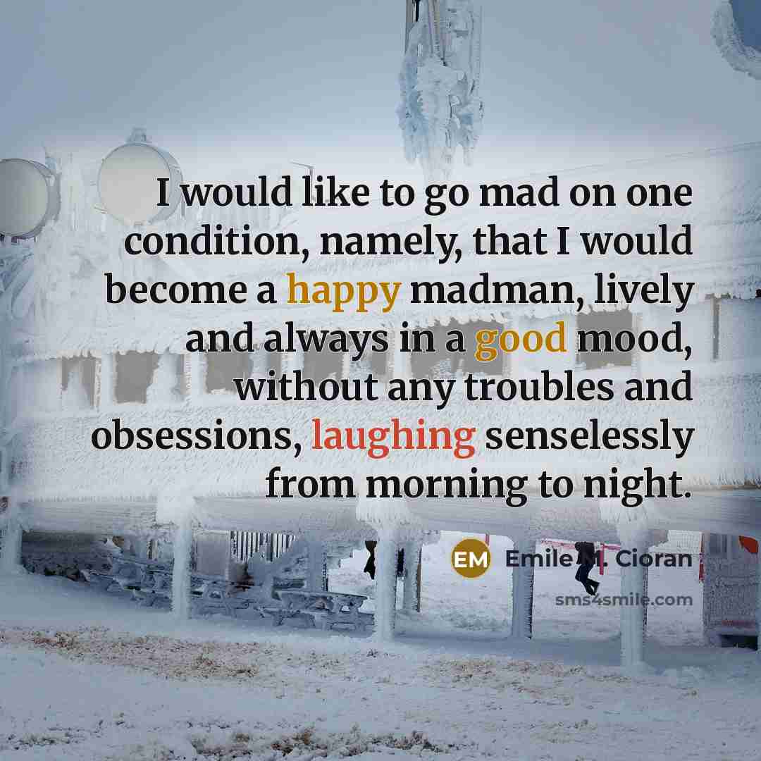 “I would like to go mad on one condition, namely,…” quote by Emile M. Cioran