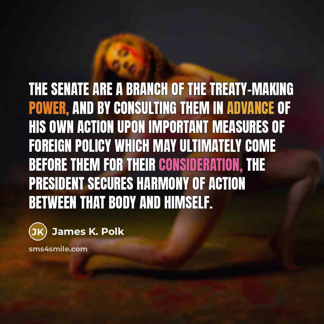 “The Senate are a branch of the treaty-making power, and…” quote by James K. Polk