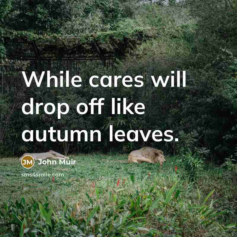 “While cares will drop off like autumn leaves.…” quote by John Muir