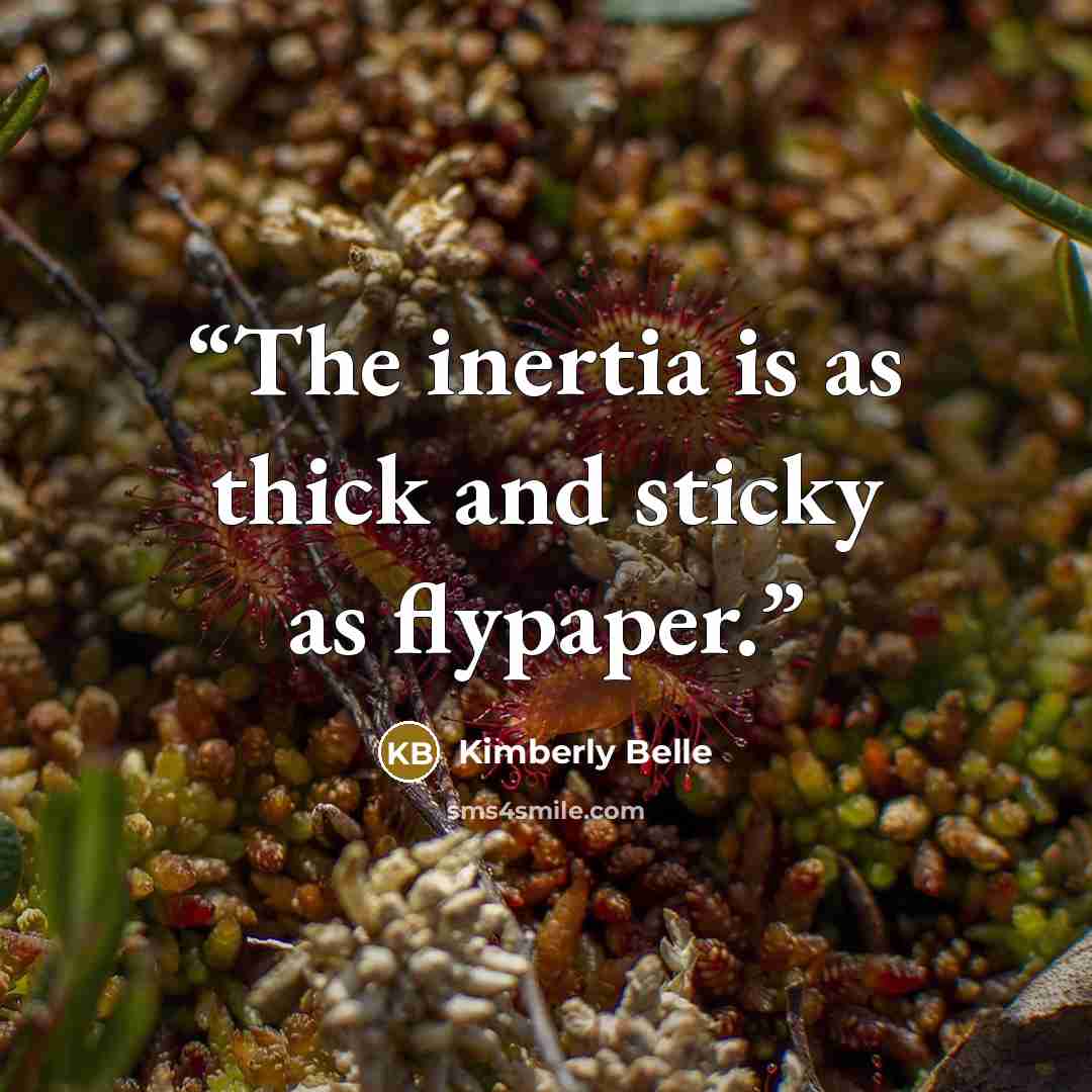 “The inertia is as thick and sticky as flypaper.” quote by Kimberly Belle