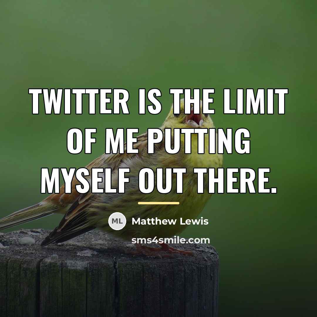 “Twitter is the limit of me putting myself out there.…” quote by Matthew Lewis