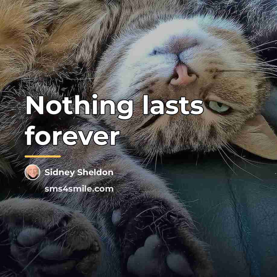 “Nothing lasts forever…” quote by Sidney Sheldon