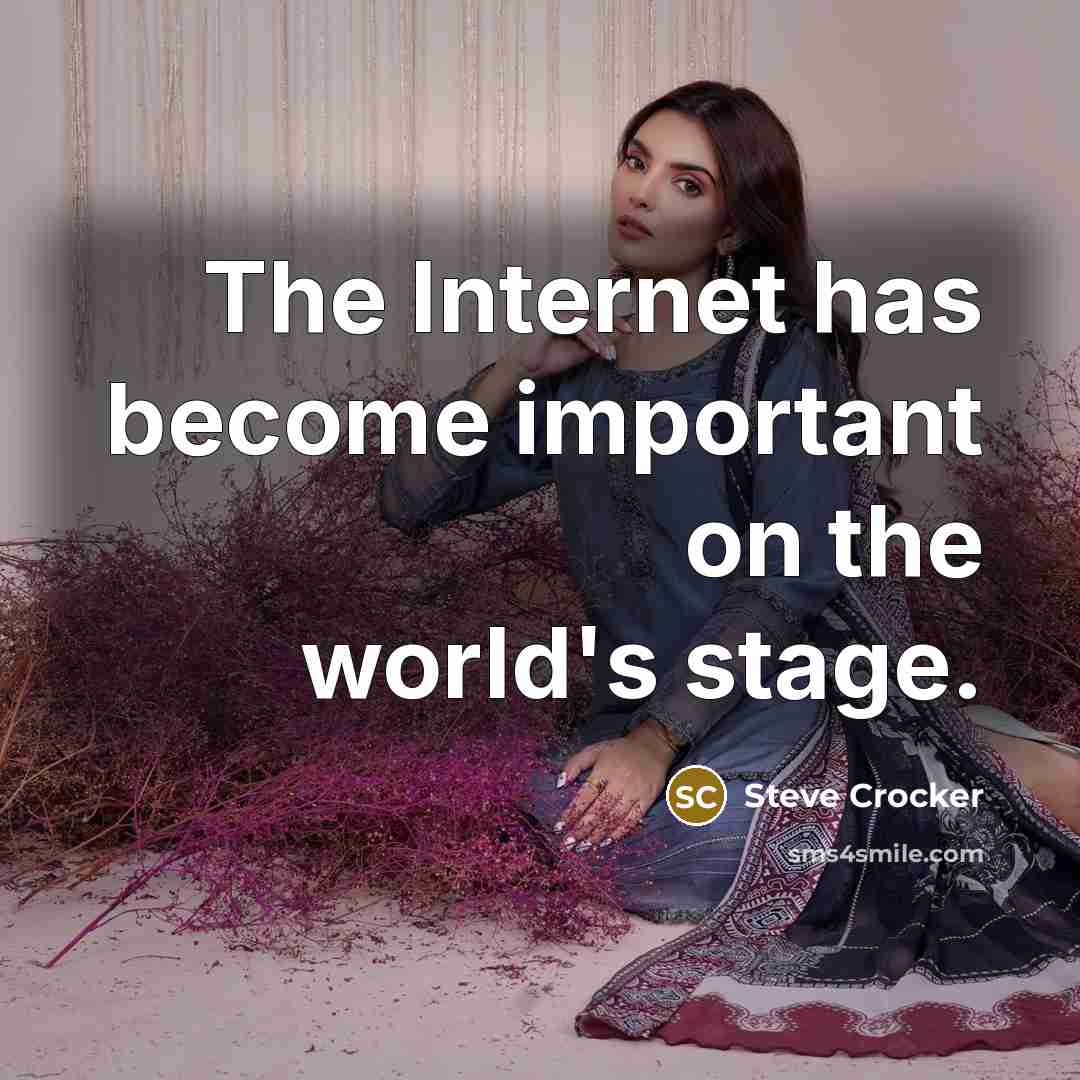 “The Internet has become important on the world's stage.…” quote by Steve Crocker