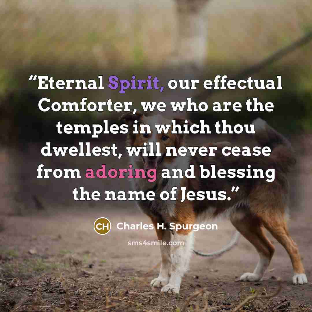 “Eternal Spirit, our effectual Comforter, we who are the temples in which thou dwellest, will never cease from adoring and blessing the name of Jesus.” quote by Charles H. Spurgeon
