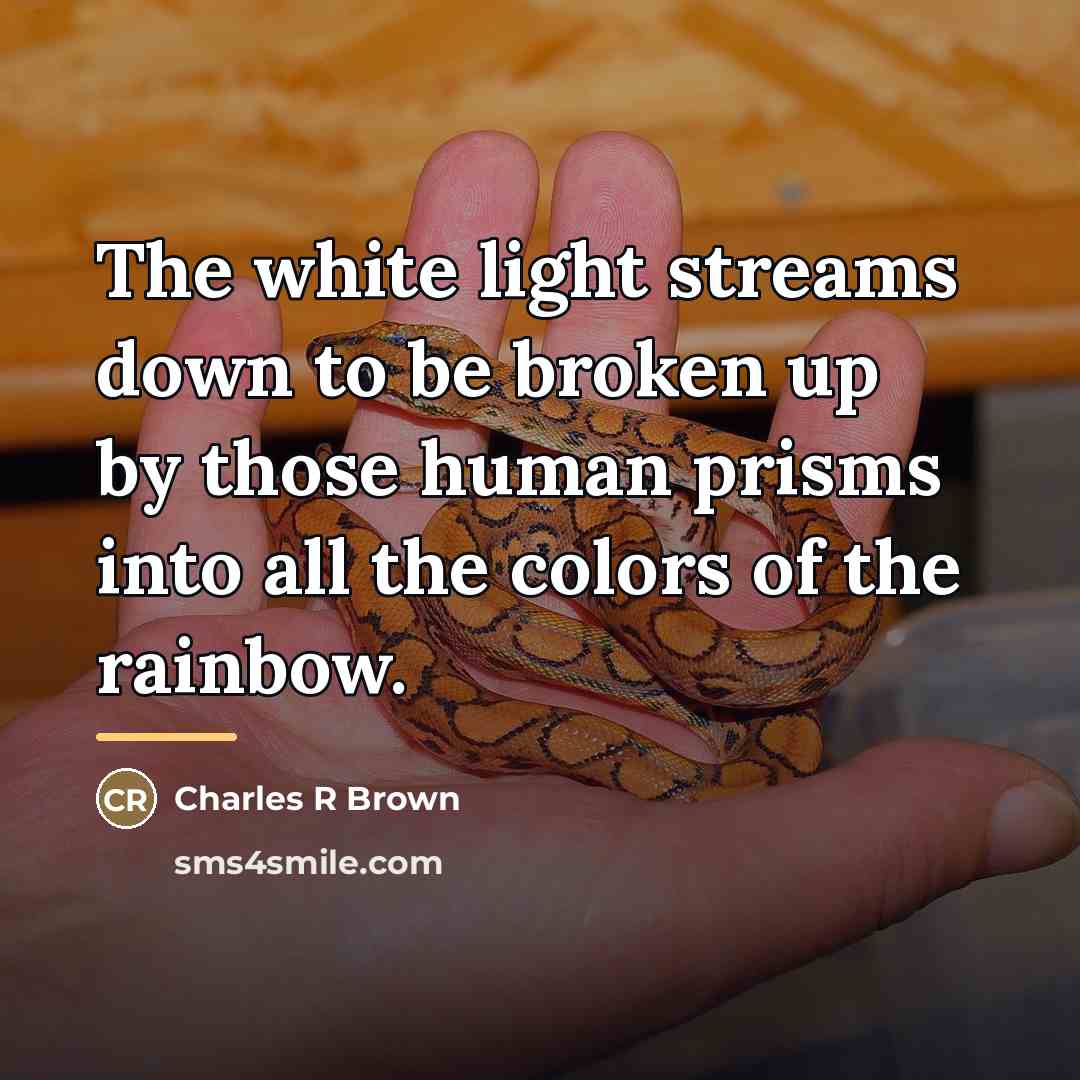“The white light streams down to be broken up by…” quote by Anonymous