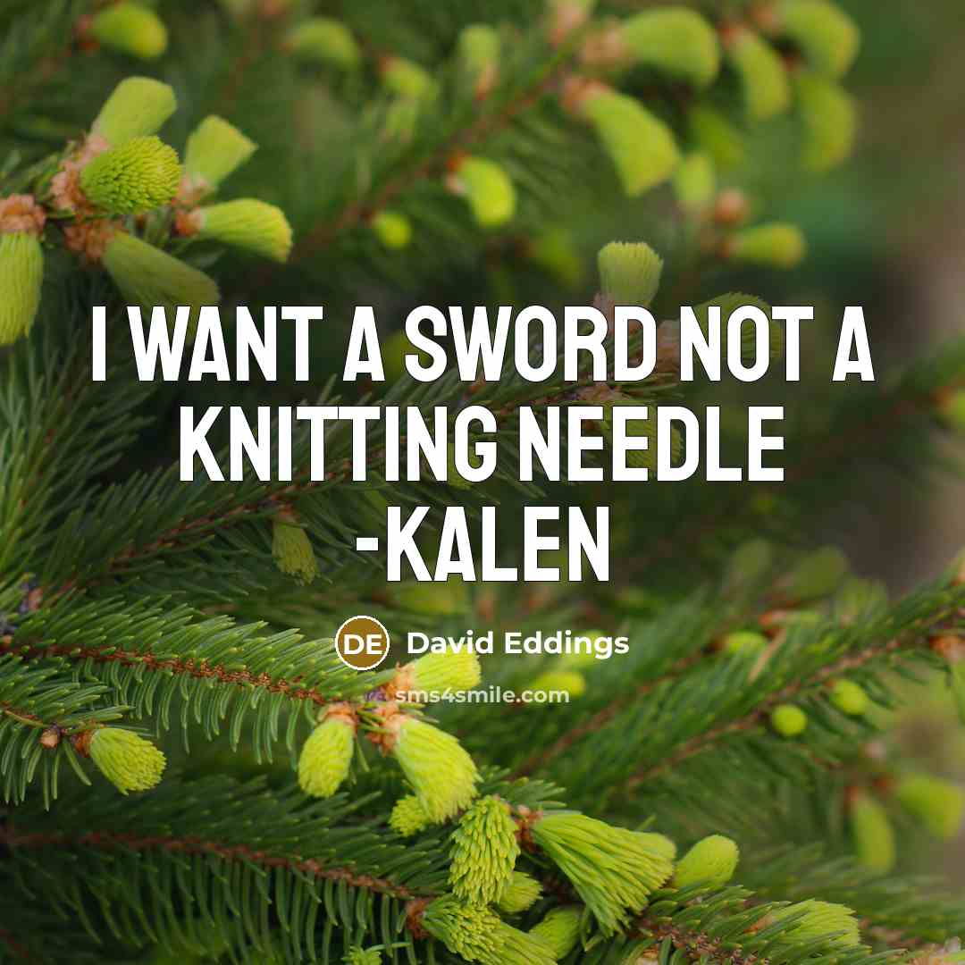 “I want a sword not a knitting needle -Kalen…” quote by David Eddings
