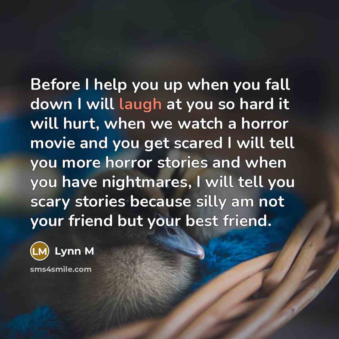 “Before I help you up when you fall down I will laugh at you so hard it will hurt, when we watch a horror movie and you get scared I will tell you more horror stories and when you have nightmares, I will tell you scary stories because silly am not your friend but your best friend.” quote by Lynn M