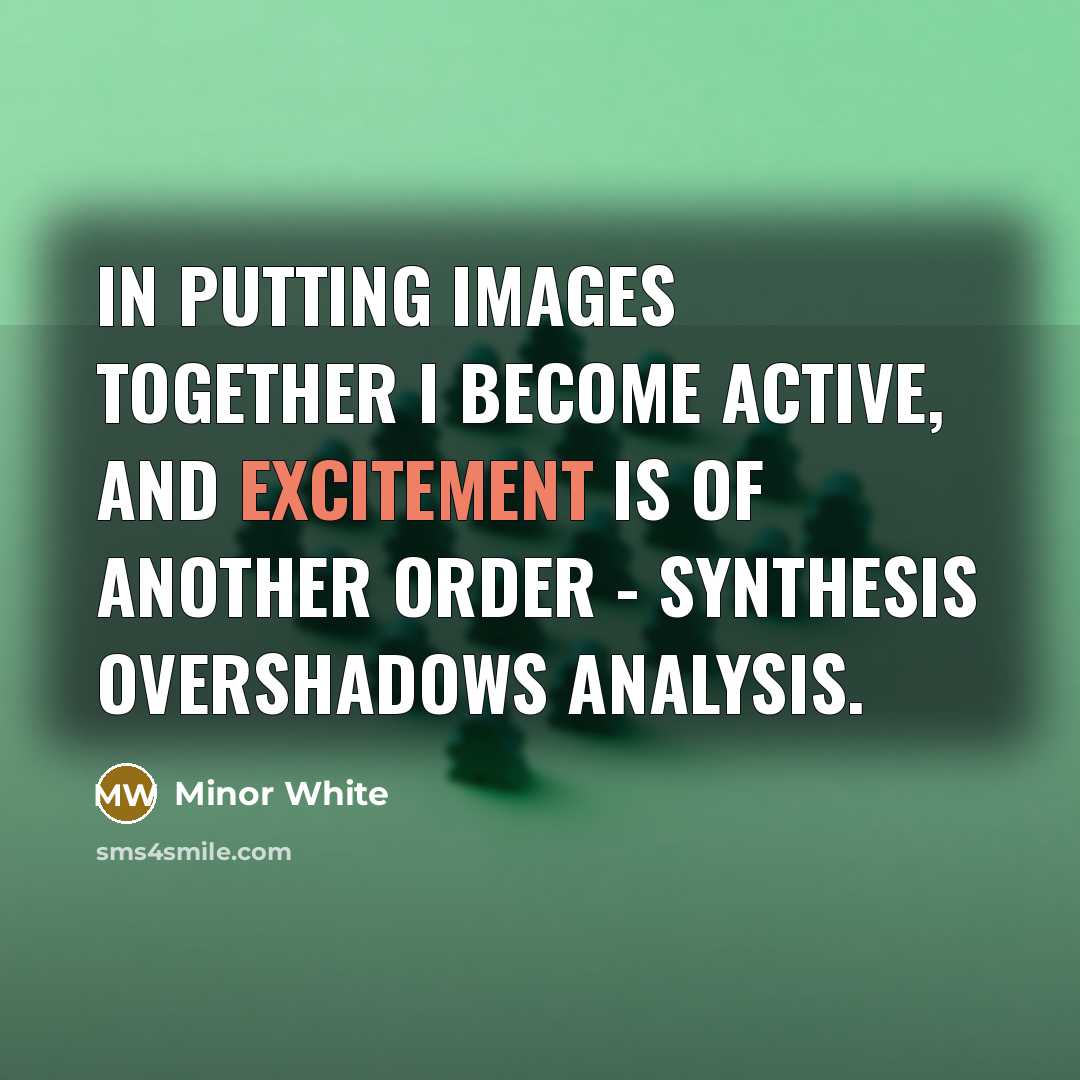 “In putting images together I become active, and excitement is…” quote by Minor White
