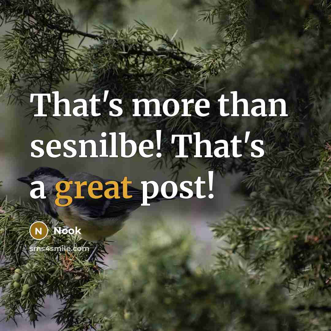 “That's more than sesnilbe! That's a great post!” quote by Nook