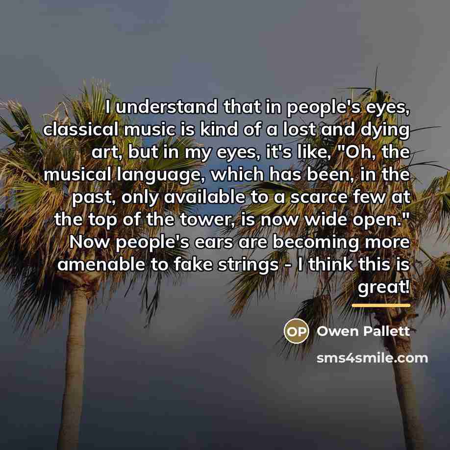 “I understand that in people's eyes, classical music is kind…” quote by Owen Pallett