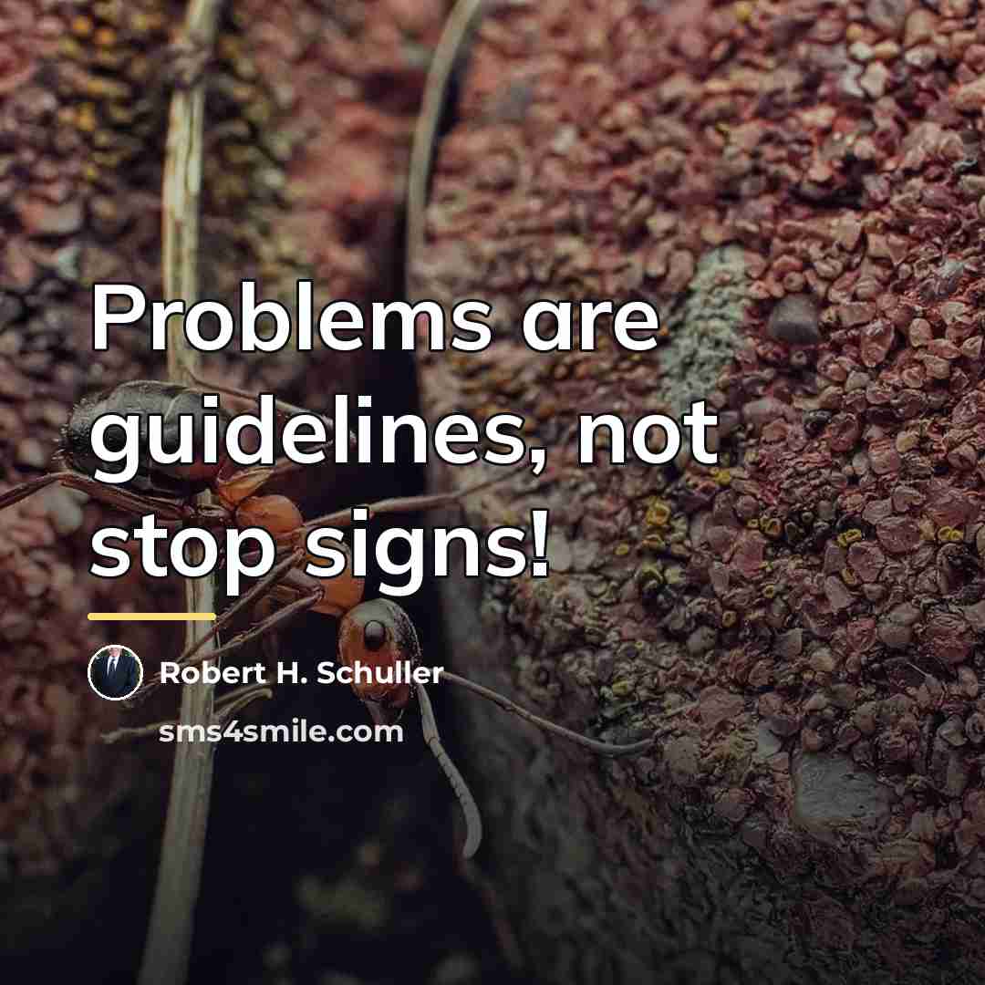 “Problems are guidelines, not stop signs!…” quote by Robert H. Schuller