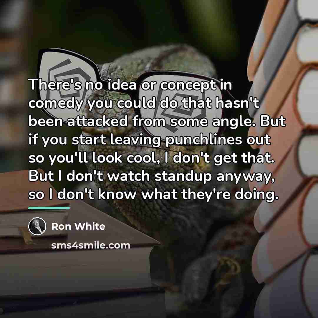“There's no idea or concept in comedy you could do…” quote by Ron White