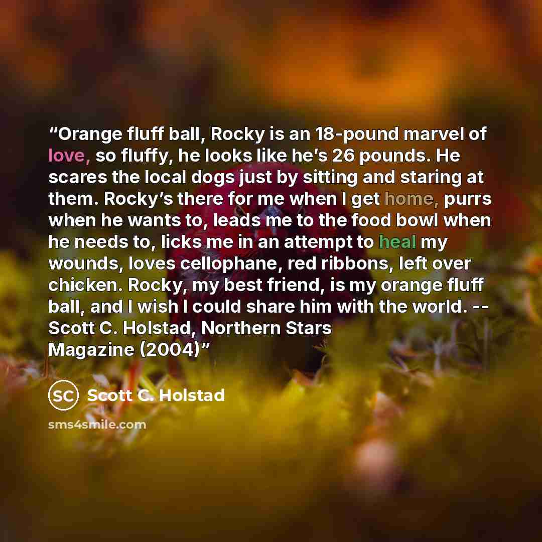 “Orange fluff ball, Rocky is an 18-pound marvel of love, so fluffy, he looks like he’s 26 pounds. He scares the local dogs just by sitting and staring at them. Rocky’s there for me when I get home, purrs when he wants to, leads me to the food bowl when he needs to, licks me in an attempt to heal my…” quote by Scott C. Holstad