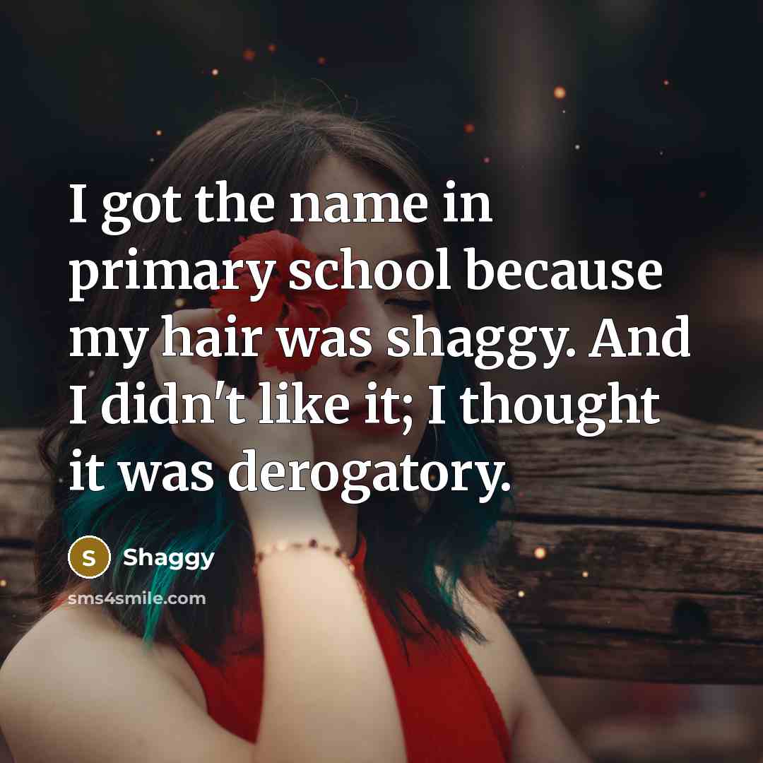 “I got the name in primary school because my hair was shaggy. And I didn't like it; I thought it was derogatory.” quote by Shaggy