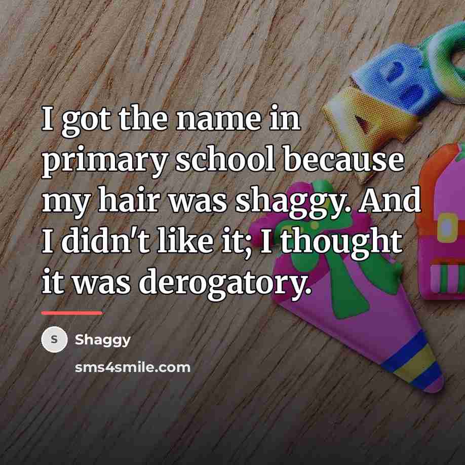 “I got the name in primary school because my hair…” quote by Shaggy