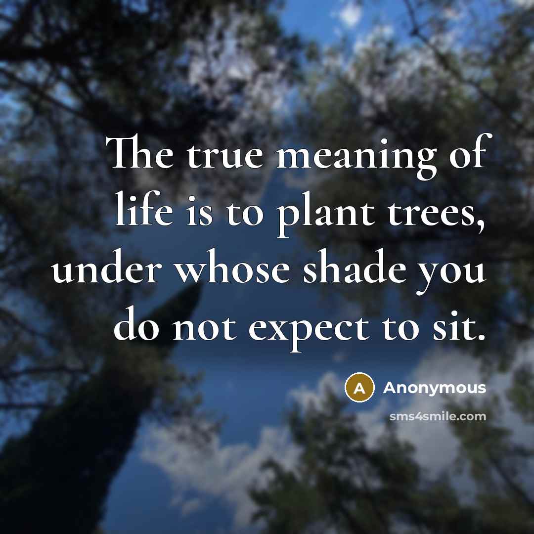 “The true meaning of life is to plant trees, under whose shade you do not expect to sit.” quote by Anonymous