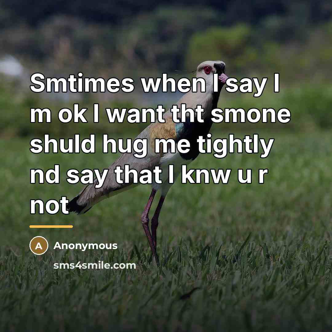 “Smtimes when I say I m ok I want tht…” quote by Anonymous