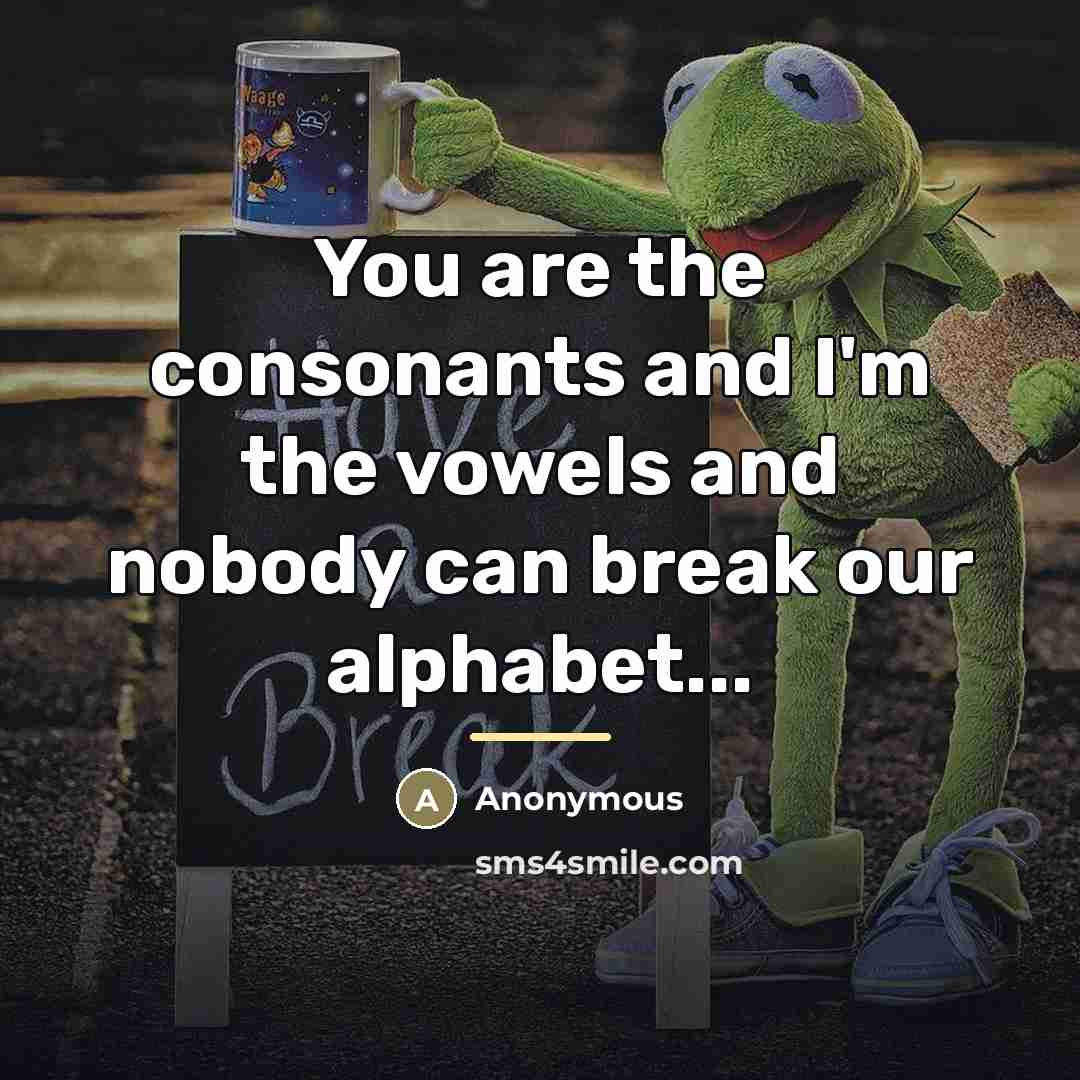 “You are the consonants and I'm the vowels and nobody…” quote by Anonymous