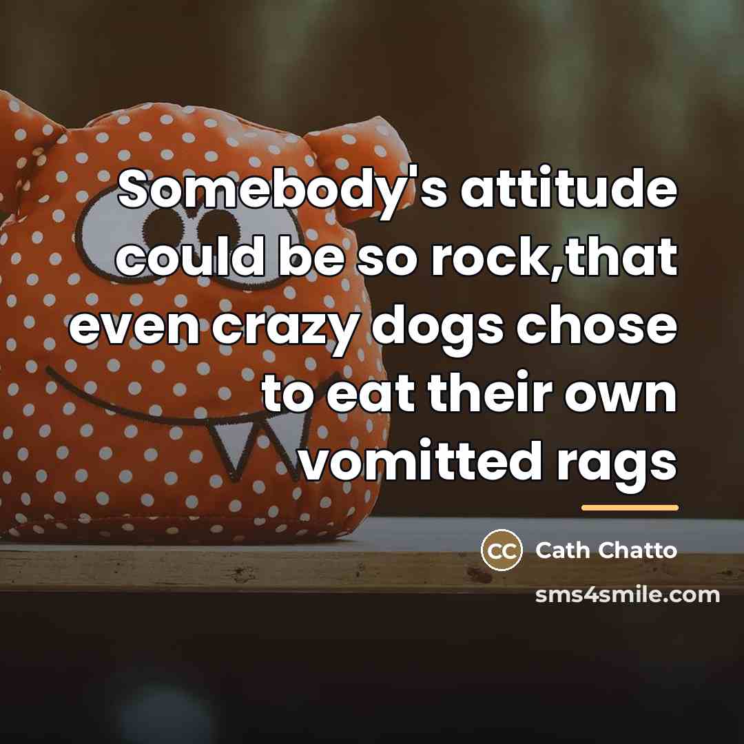 “Somebody's attitude could be so rock,that even crazy dogs chose…” quote by Cath Chatto