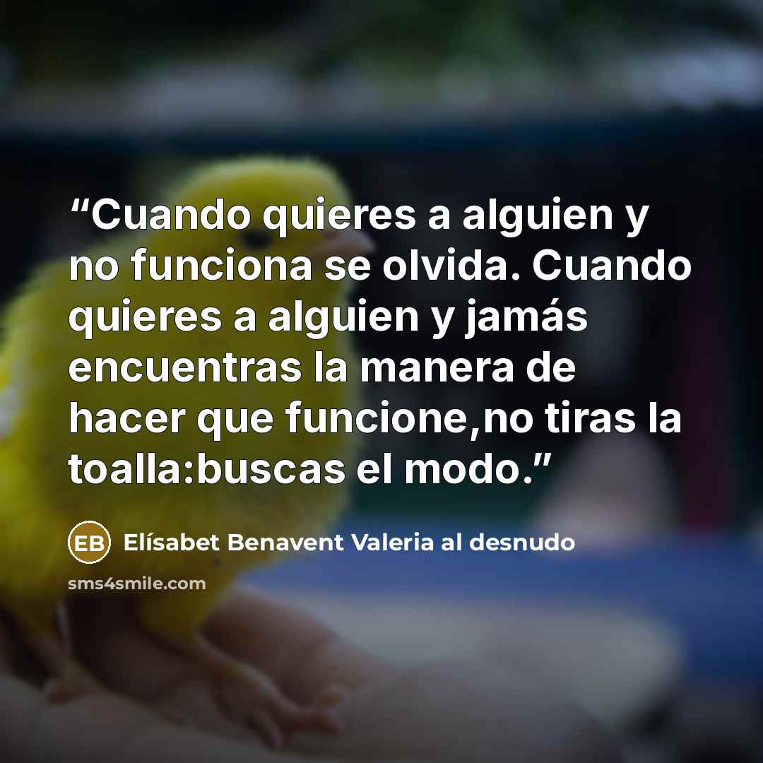 “Cuando quieres a alguien y no funciona se olvida. Cuando quieres a alguien y jamás encuentras la manera de hacer que funcione,no tiras la toalla:buscas el modo.” quote by Elísabet Benavent Valeria al desnudo