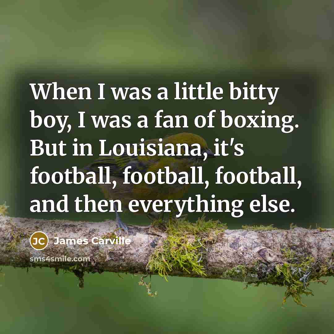 “When I was a little bitty boy, I was a…” quote by James Carville