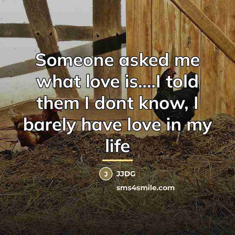 “Someone asked me what love is....I told them I dont…” quote by Jjdg