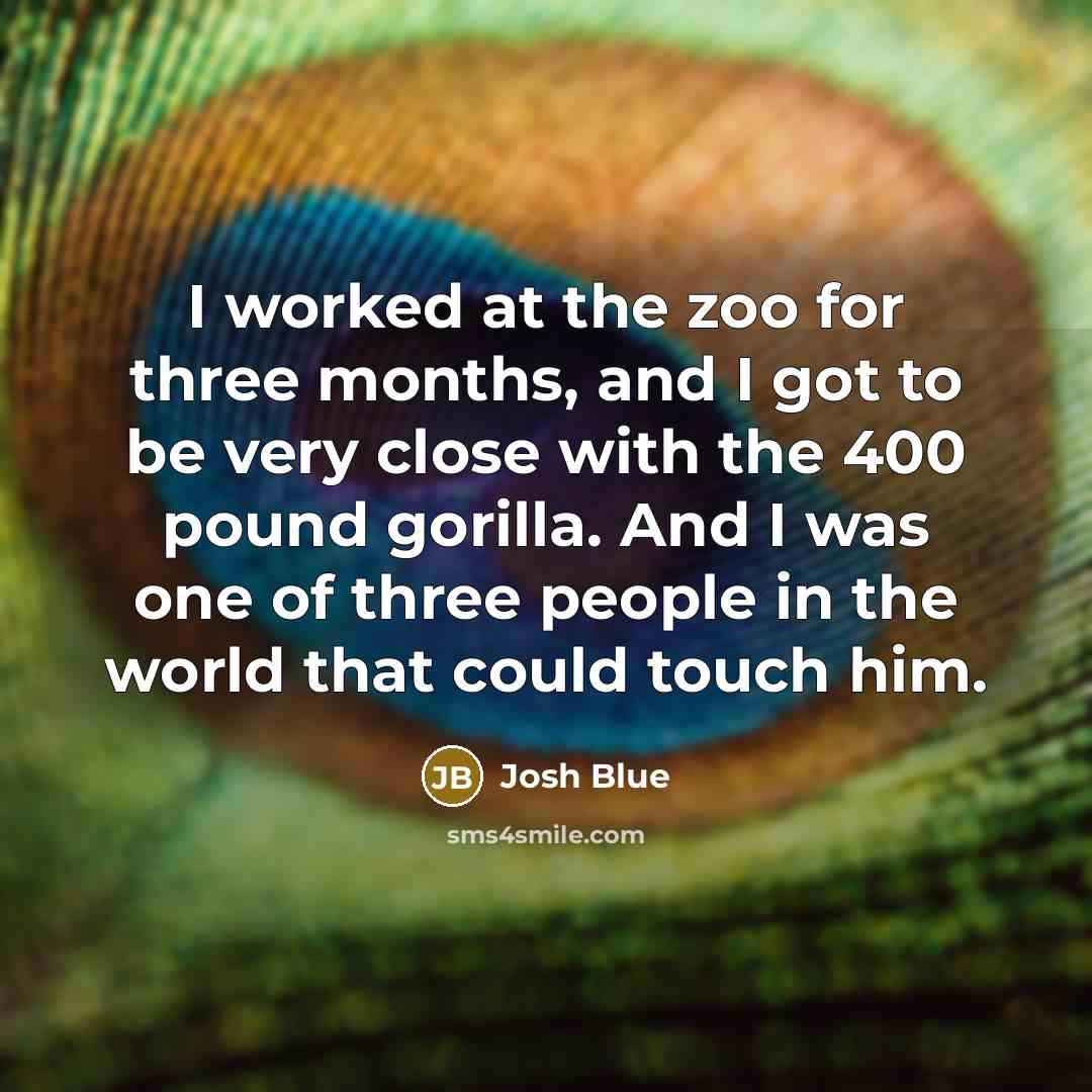 “I worked at the zoo for three months, and I…” quote by Josh Blue