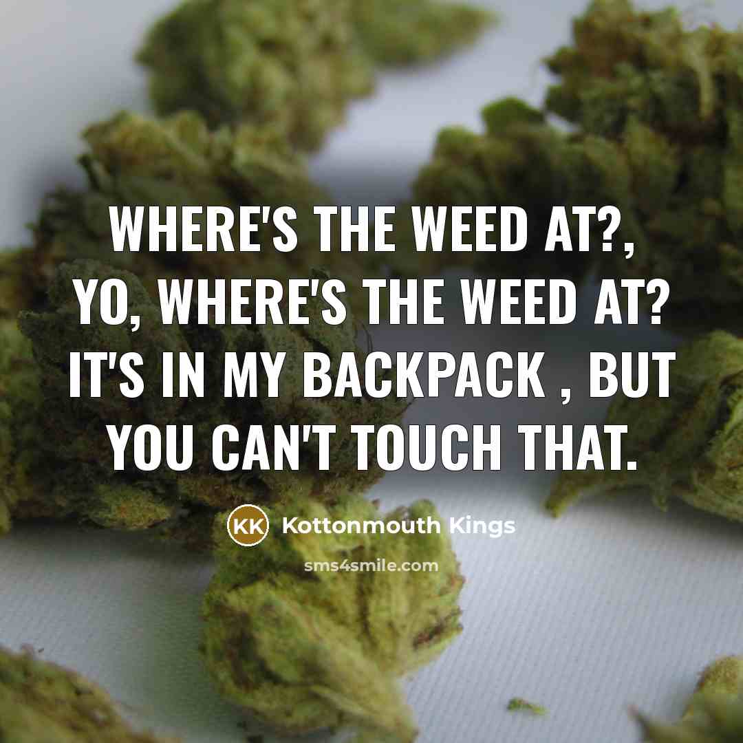 “Where's the weed at?, yo, where's the weed at? it's…” quote by Kottonmouth Kings