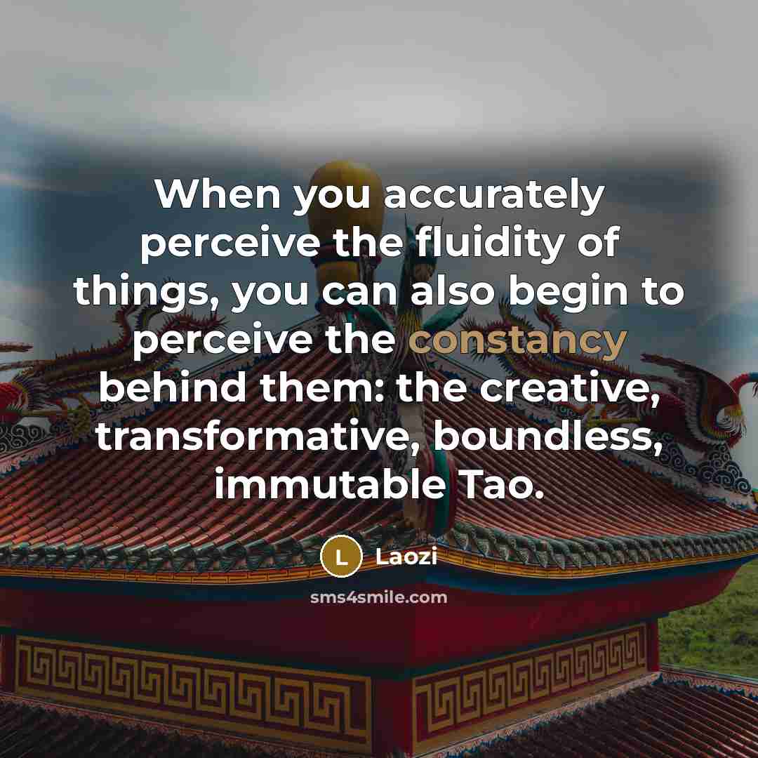 “When you accurately perceive the fluidity of things, you can…” quote by Laozi