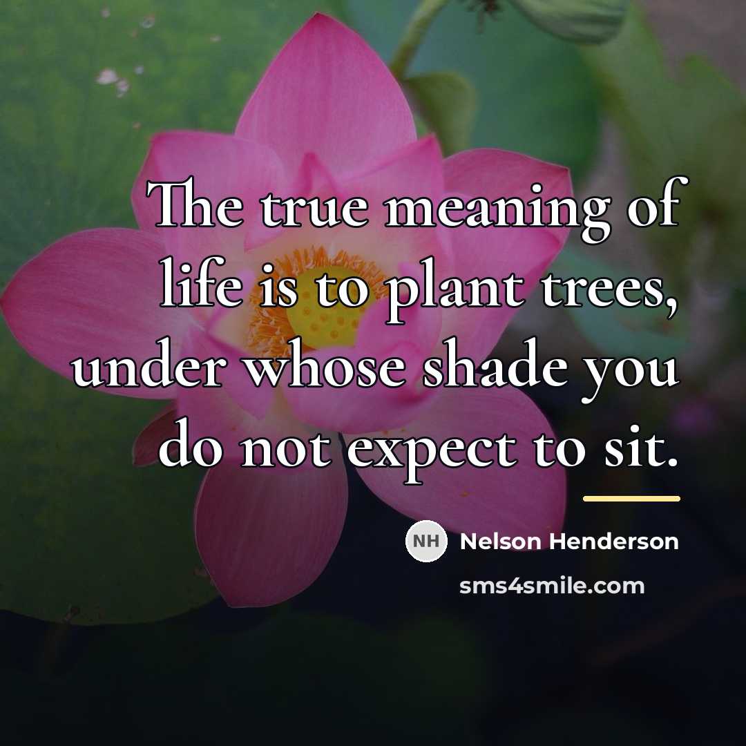 “The true meaning of life is to plant trees, under…” quote by Anonymous