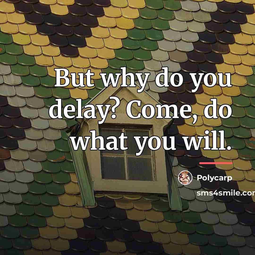 “But why do you delay? Come, do what you will.…” quote by Polycarp