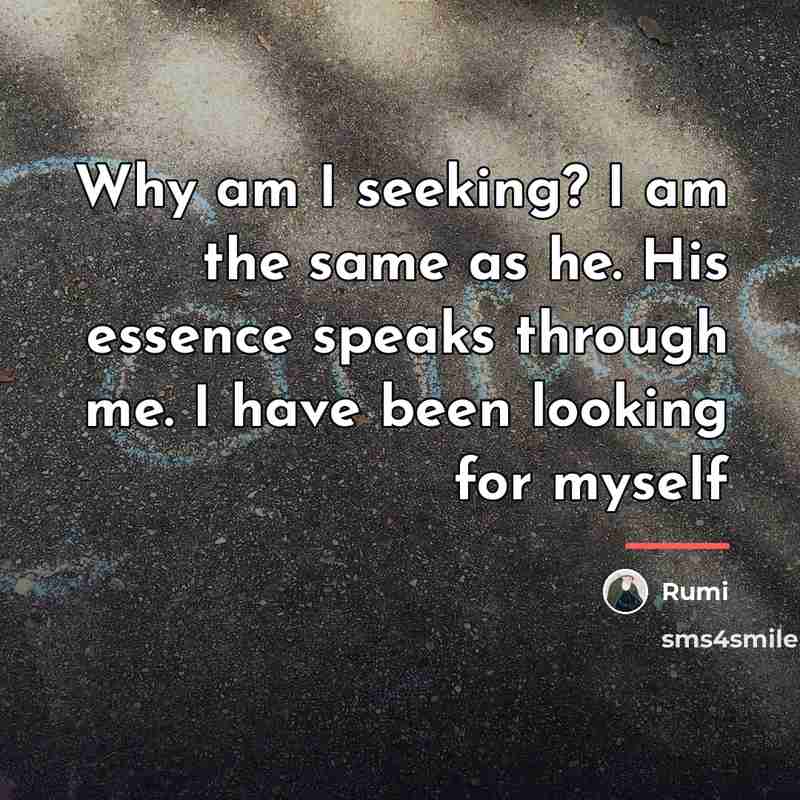 “Why am I seeking? I am the same as he.…” quote by Rumi